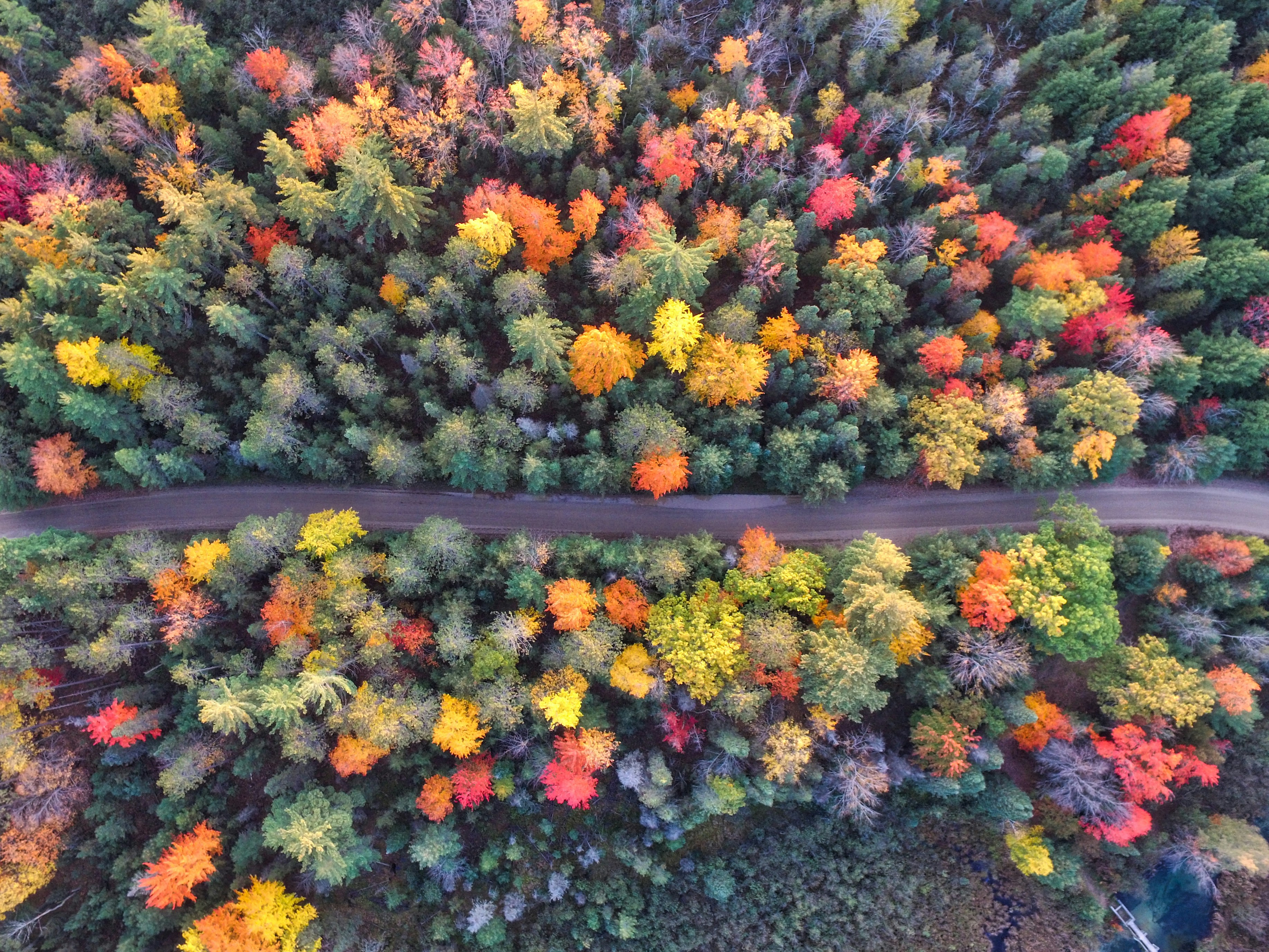 El rol del sistema de CAEs en la transformación del paisaje medioambiental riojano.